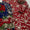 2PC Handmade Chunri Gotta Suit