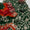 2PC Handmade Chunri Gotta Suit