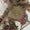 3-Piece Handwork Stone & Beads Organza Set with Zari Beads Dupatta