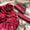 Shamoz Silk Embroidered Unstitched Dress