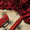Shamoz Silk Embroidered Unstitched Dress